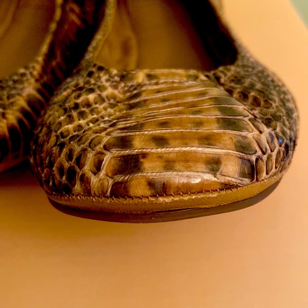 Tory Burch Python Snake Logo Flats - image 6